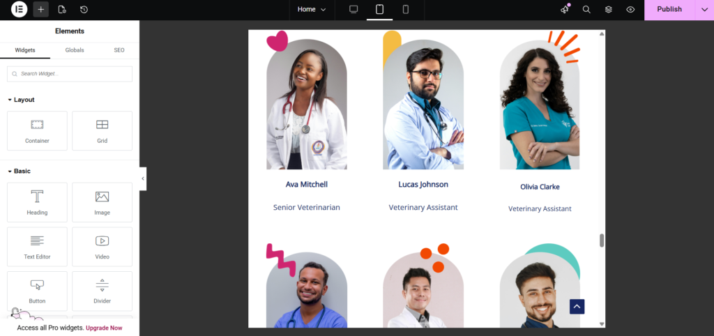 Using Elementor to build Pet Pals Animal Clinic website